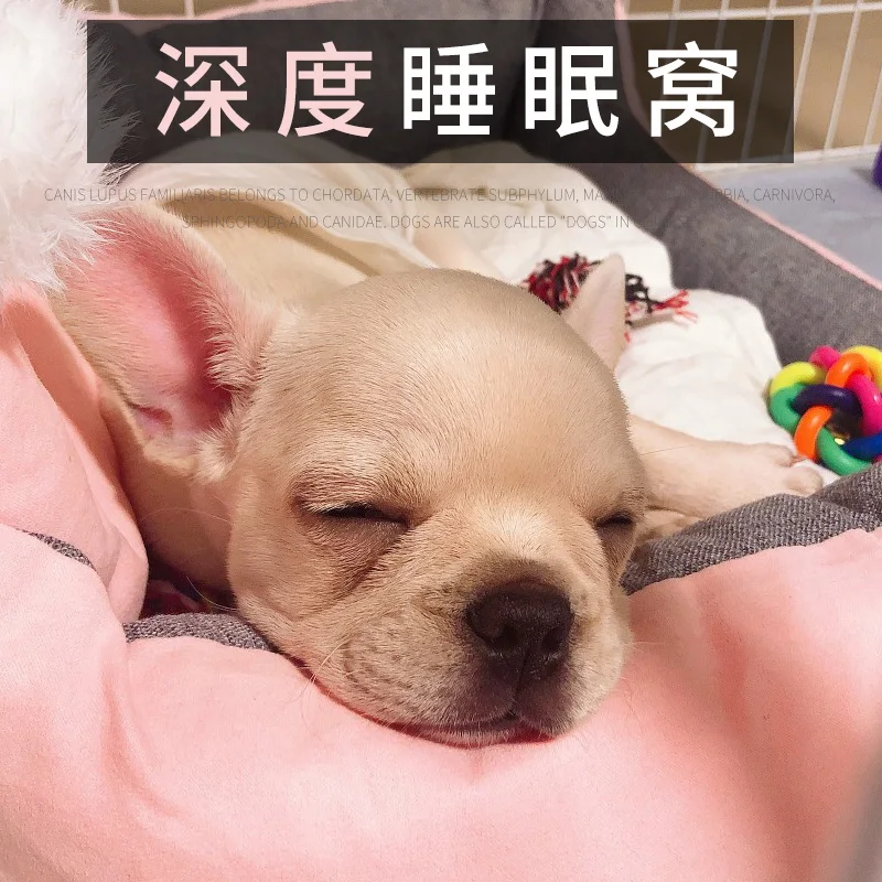Pes je gnezdo, globoko spanje gnezdo štirje letni časi dihanje dog bed srčkan ustvarjalne izmenljive jjeza postelja mehko in udobno pes dobave