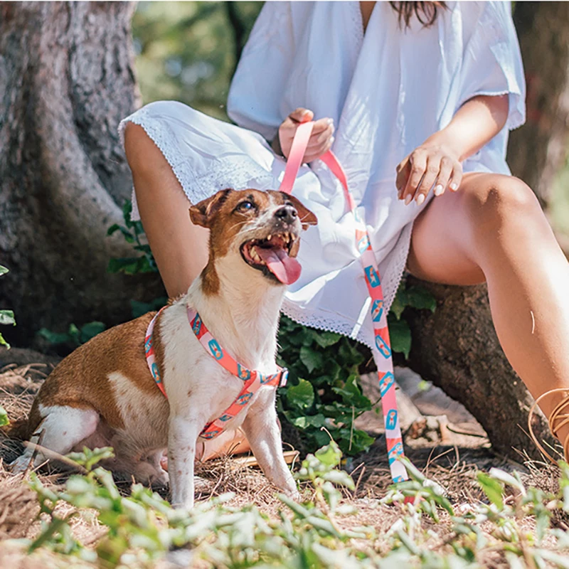 Pes Pas 2020 Nov Slog Natisnjeni Pisane Pet Korak -v Telovnik Pas Ovratnik Prostem Hoja Psa Dobave