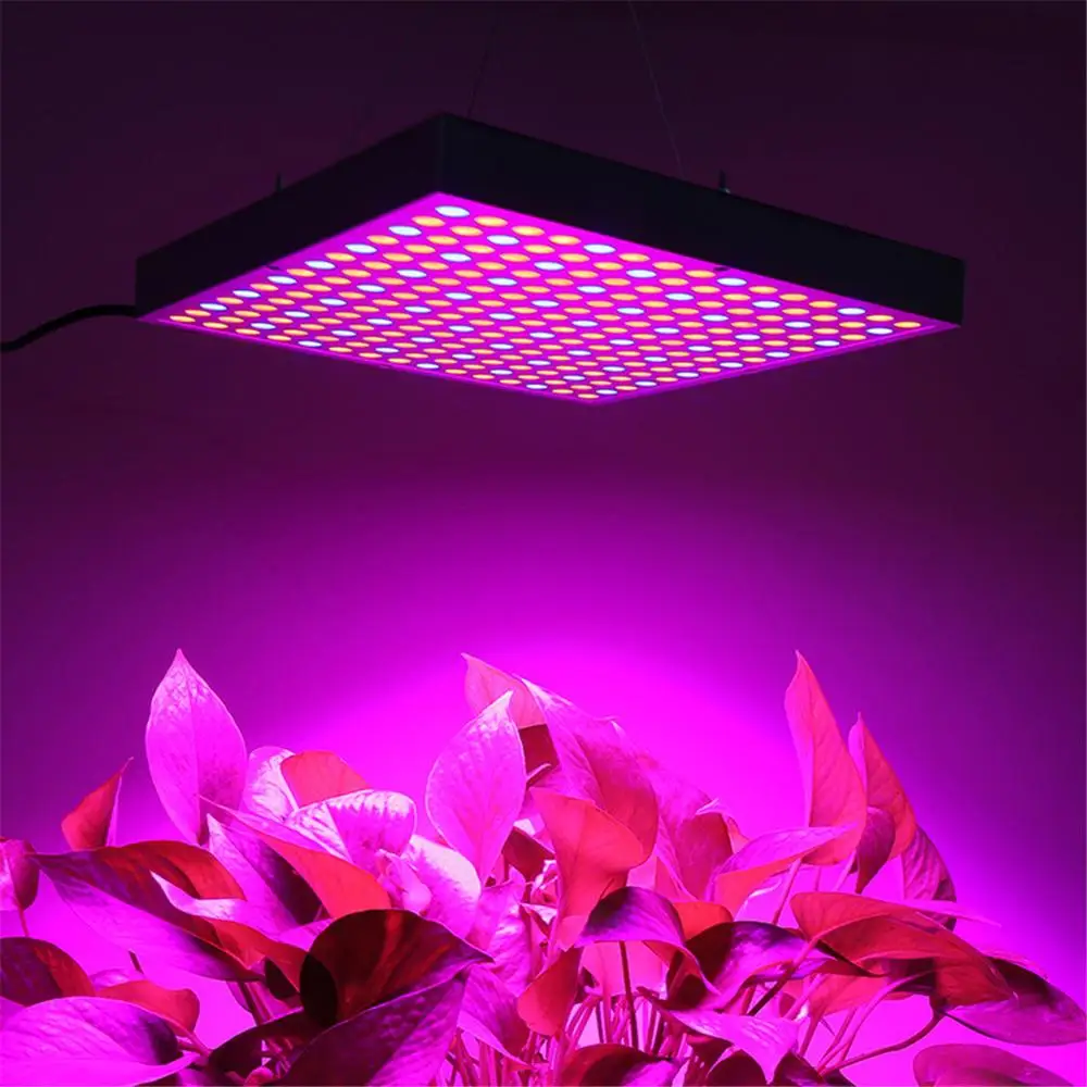Phytolampa 225 Led 1500W Celoten Spekter Zaprtih prostorih LED Grow Light Za Rastlina Raste Cvet Semena Lučka Šotor Fitolampy UV IR Rdeče/Modra