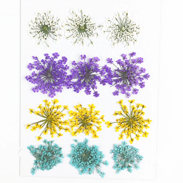 Poročni dodatki stranka čipke cvet Posušen cvet pritisnite cvetlični vzorec na Debelo brezplačno pošiljko 1 lot/10bags(120pcs)