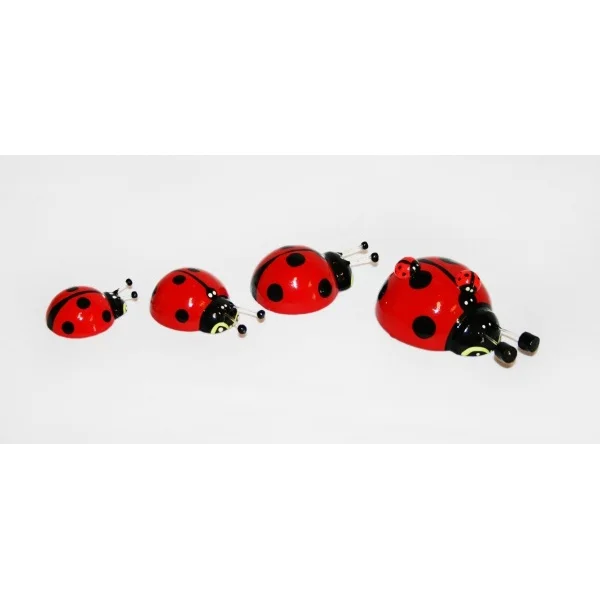 Set magnetov iz Ladybug