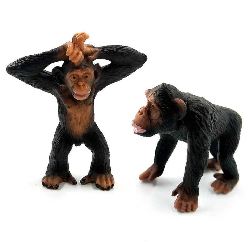 Simulacija Jelena Warthog Ris Mandrill Osel Gibbon Porcupine ptica kivi Šimpanz PVC živali model figur igrača vrt številke