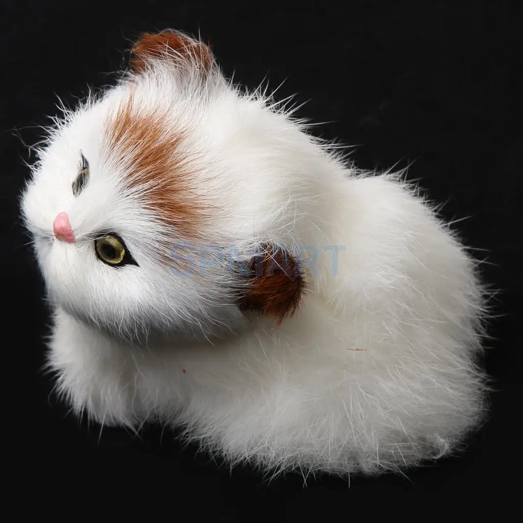 Srčkan Realno Majhne Sedi Mačka z Okvirjem Pravega Krzna Kosmate Živali