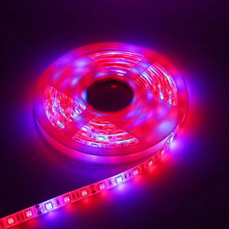 SZYOUMY LED Grow Light Celoten Spekter 5M LED Trak svetlobe 5050 LED Cvet Rastlin Fito Rast Svetilke Toplogrednih Hydroponic Rastlin