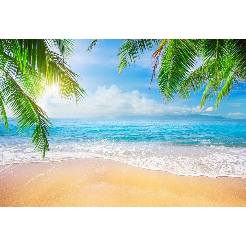 Tropski Plaži Ozadje za Fotografiranje Natisnjeni Drevo Palme, Listi Bokeh Sonček, Modro Nebo in Morje Obmorskih Panoramska Fotografija Ozadje
