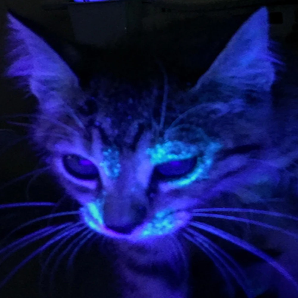 UV Svetilka 365nm Ultra Vijolice Nevidni Ultravijolični 18650 Baklo Black Light Pet Madeže Urina Detektor Scorpion