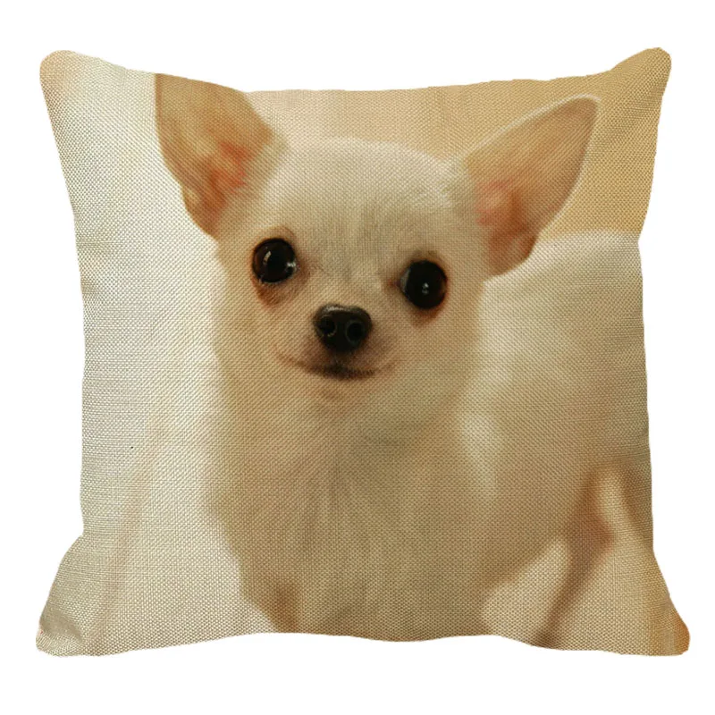 XUNYU Lepe Pet Dog Chihuahua Vzorec Perilo Vzglavnik Blazine Pokrov Domači Kavč Kvadratnih Blazino Kritje 45x45cm BZ167
