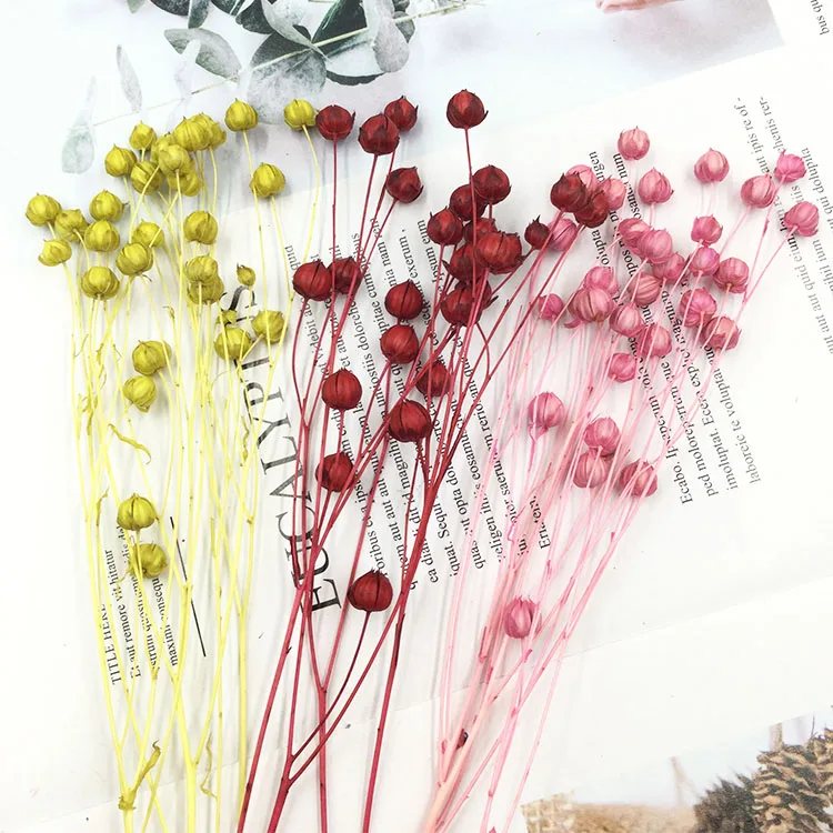 Yongsheng Cvet DIY Materiala Paket Bogato Fižol Akacijev Fižol Posušeno Cvetje Perilo steklen Pokrov Plavajoče Float Visi Ključnih Verige